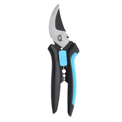 Proceriaid ffordd osgoi law