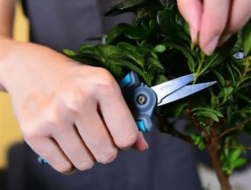 Pam wnaethon ni lansio'r siswrn newydd a mwy