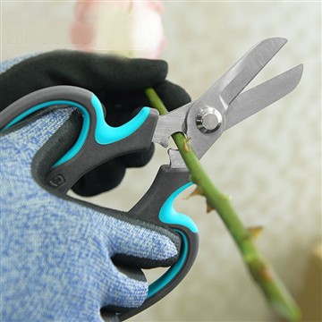 Dechrau Gardd Flodau