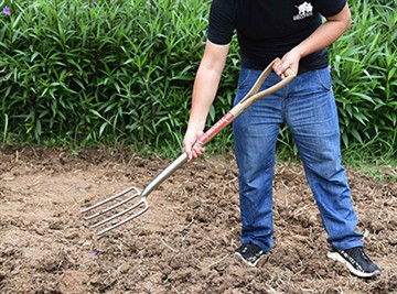 Cyflwyniad Byr i Ddiwylliant Gerddi Rwsiaidd