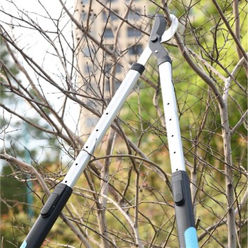 Tocio a Thrimio: Tueddu at Fy Ngardd Deulu