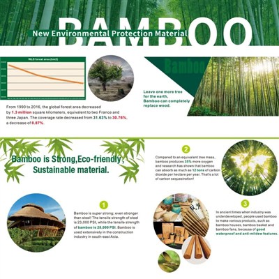 Awgrymiadau   ar gyfer   a   Ffynnu   Paradise