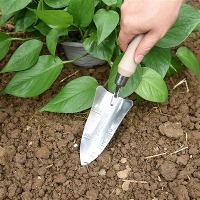 Dyddiadur Plannu Gerddi -1