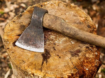 Offer Torri Coed ac Offer Diogelwch