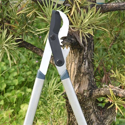 Canghennau Tocio Offer Gorau yw Loppers Ffordd Osgoi