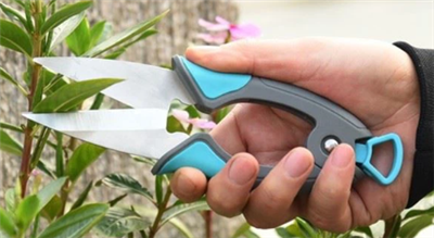 Secateurs A Phruners