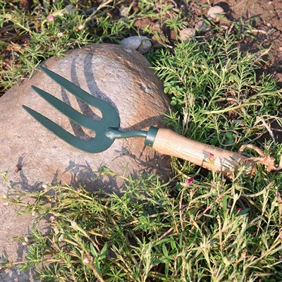 Anturiaethau Bob Dydd The Garden Tools