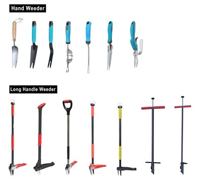 Meithrin Gwyrdd: Cofleidio Cynaliadwyedd yn Eich Gardd