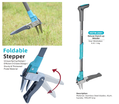 Dathlu Gŵyl Canol yr Hydref o Amgylch y Byd: Cytgord o Draddodiad ac Offer Gardd