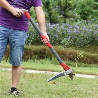 Sut i gael gwared ar chwyn heb blygu?