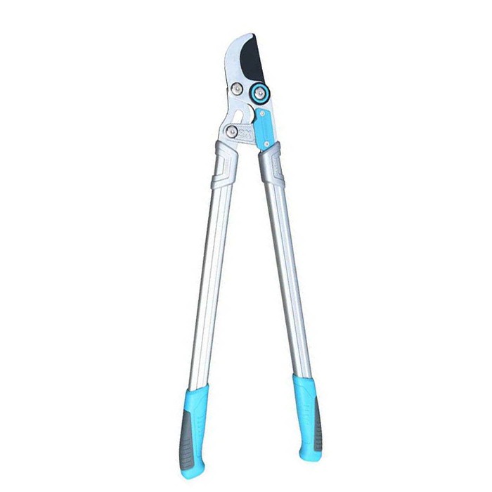 Torgion Tocio Cnawdau Tocio