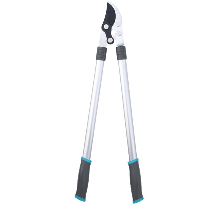 Lopwyr gardd ratchet